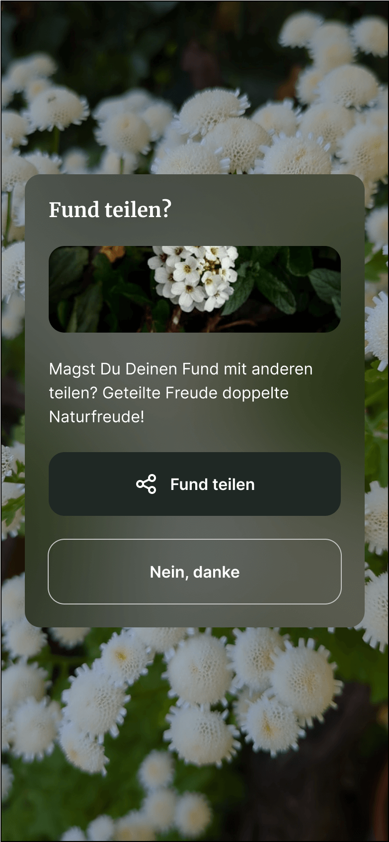 Button Iteration Vorher 1